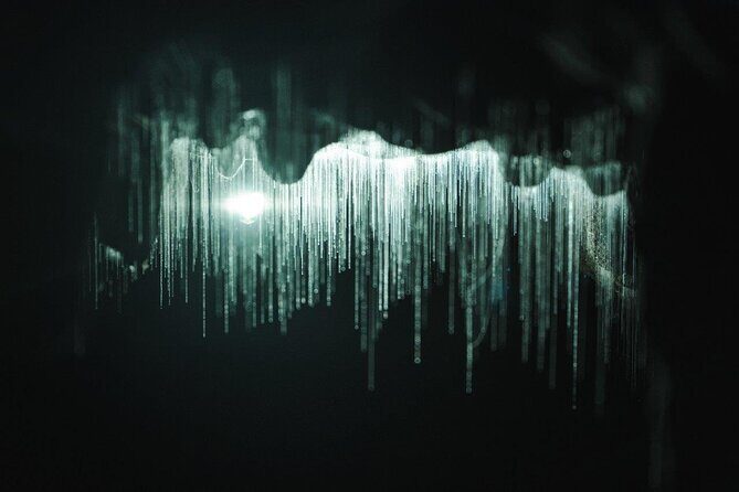 Hobbiton & Waitomo Caves Small-Group Tour W Lunch from Auckland - The Sum Up