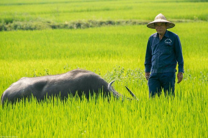 HOI AN Biking River Islands, Villages, Local Crafts PRIVATE TOUR - What Makes This Tour Stand Out?