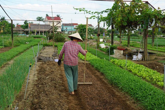 Hoi An cooking class - Authenticity, Education & Fun: Why This Tour Works