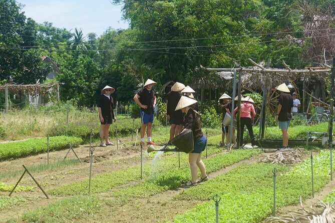 Hoi An cooking class - Who Should Consider This Tour?