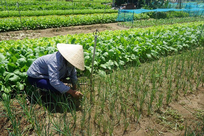 Hoi An cooking class - Final Thoughts