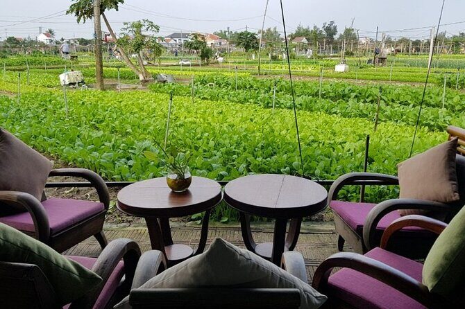 Hoi An Cooking Class With Market Tour and Bamboo Basket Boat Ride - Final Thoughts