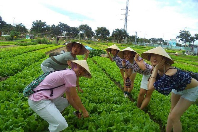 Hoi An Countryside - Buffalo Riding - Basket Boat Rowing - Exploring the Itinerary in Detail