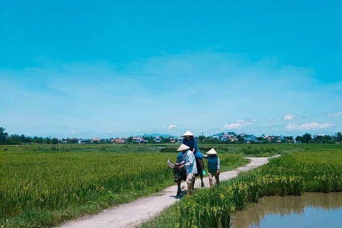 Hoi An Countryside - Buffalo Riding - Basket Boat Rowing - FAQ