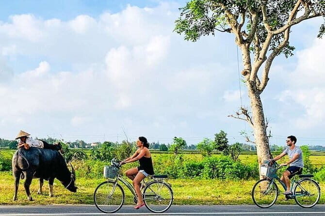 Hoi An Countryside Cycling: Craft Mats, Noodles & Wood Carving - Exploring the Itinerary in Detail