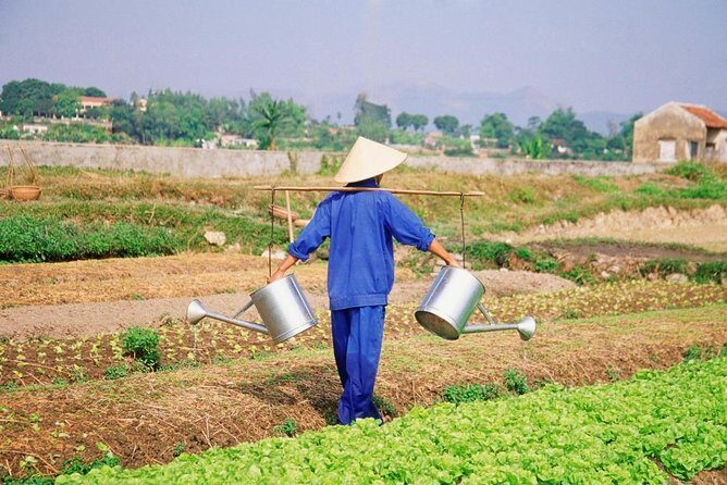Hoi An countryside cycling tour - Key Points