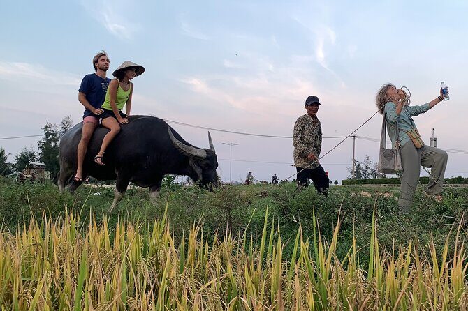 Hoi An Countryside Private Tour - Highlights and Hidden Gems - Practical Considerations