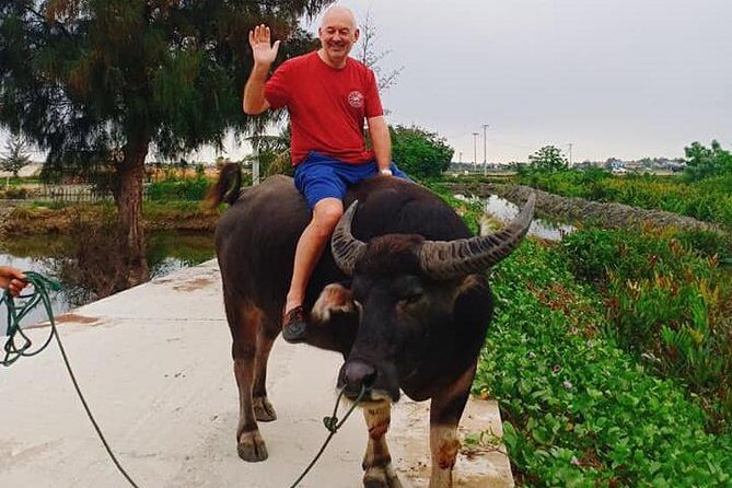 Hoi An Countryside Tour with Bamboo Basket Boat Rowing , Buffalo Ride, Farming - Who Will Love This Tour?
