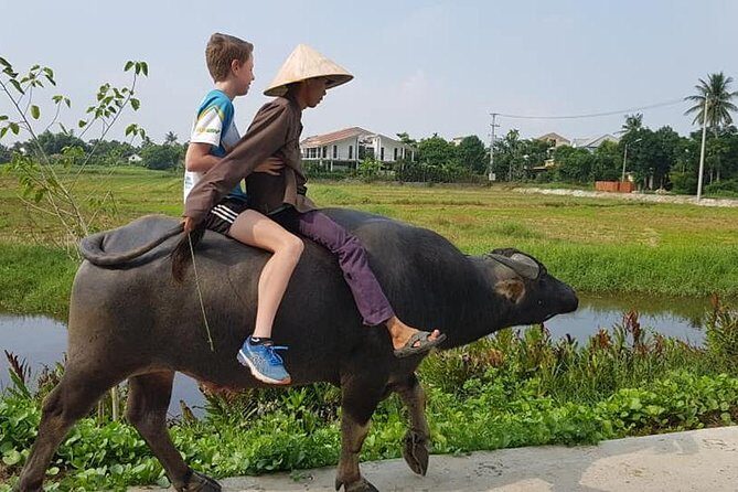 Hoi An CountrysideTour with 3 Local Villages &Hoi An Walking Tour & Night market - The Sum Up: Is It Worth It?