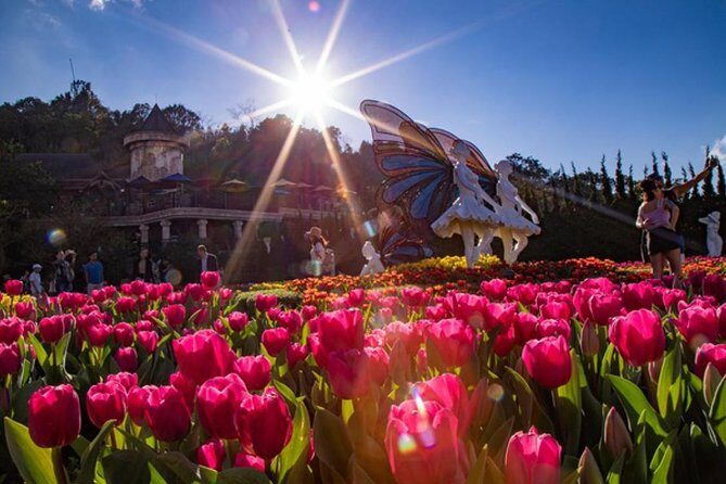 Hoi An/ Da Nang - Ba Na Hills - Golden Bridge Deluxe Small group - The Itinerary in Detail