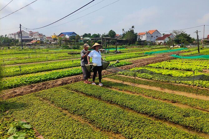 Hoi An Half-Day Bicycle Tour: Visit Herb Village, Row Basket Boat - An In-Depth Look at the Hoi An Half-Day Bicycle Tour