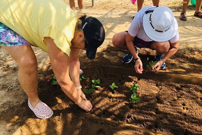 Hoi An Local Market and Vegetable Village Cooking Class - Practical Details & Tips