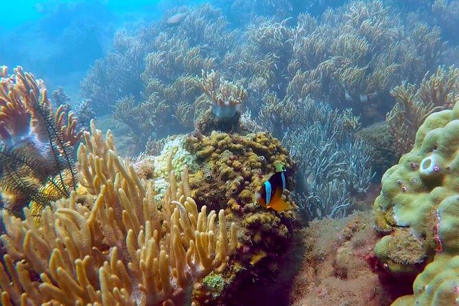 Hoi An Private 2-Day Tour with Snorkeling and Hotel - FAQ