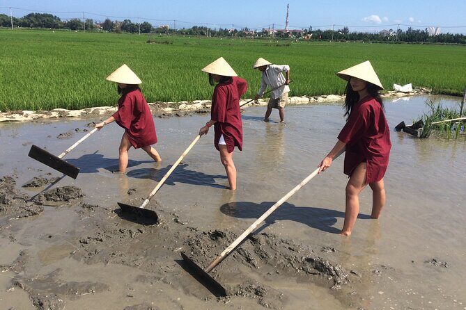 Hoi An Rice Farm Tour and Buffalo Riding with Local Home Meal - Authentic Hoi An Countryside Experience: Rice Farming, Buffalo Riding & Home-Cooked Meal
