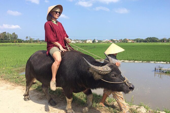 Hoi An Rice Farm Tour and Buffalo Riding with Local Home Meal - Practical Details & Value