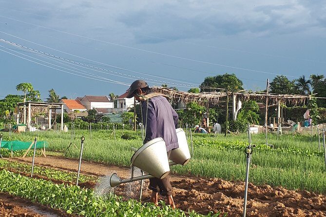 Hoi An sunrise, fish market tour and taking photos( Private tour) - FAQ