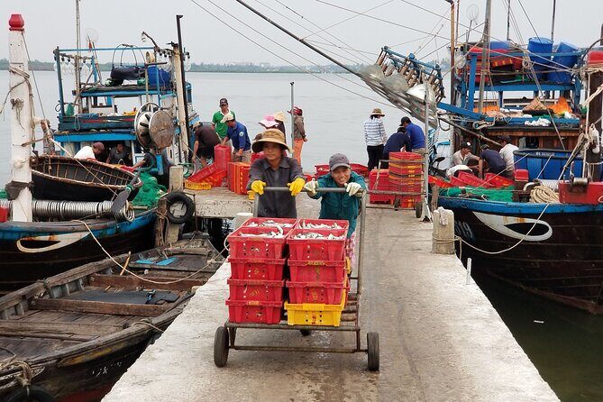 Hoi An Sunrise Private Half Day Tour - Key Points