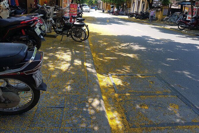 Hoi An town private walking tour with boat trip - The Sum Up