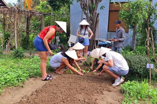 Hoi An Vespa Tour: Hoi An Rural Life & Cooking Class - The Culinary Highlight: Hands-On Cooking Class
