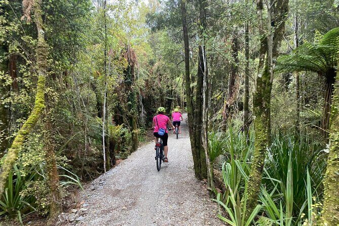 Hokitika Gorge Walk and Wilderness Trail Tour by eBike - The Sum Up: Is It Worth It?