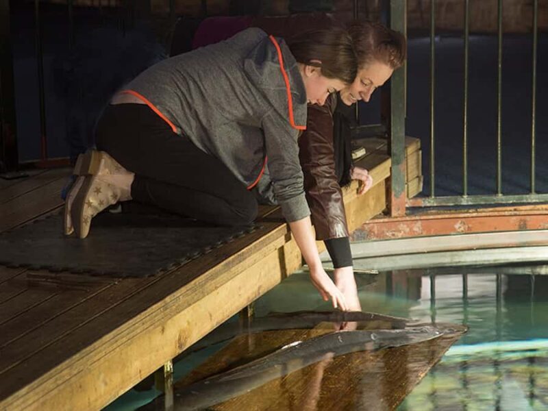 Hokitika: The National Kiwi Centre Tickets - An In-Depth Look at Your Visit to The National Kiwi Centre