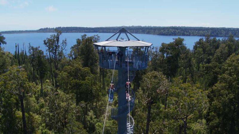 Hokitika: West Coast Tree Top Tower Zip Line and Walk - Key Points