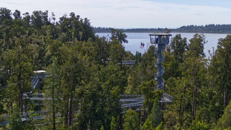 Hokitika: West Coast Tree Top Tower Zip Line and Walk - A Closer Look at the Experience