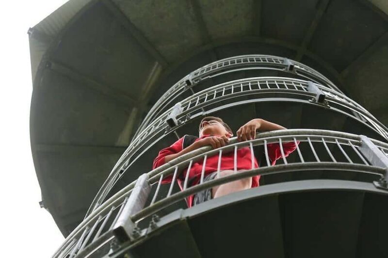 Hokitika: West Coast Treetop Walkway Entrance Ticket - Key Points
