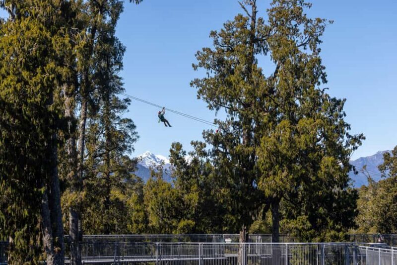 Hokitika: West Coast Treetop Walkway Entrance Ticket - Visiting the Treetop Walkway: What to Expect on Your Journey