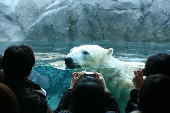 Hokkaido Asahiyama Zoo, Furano and Biei Bus Tour - Transportation, Price, and Group Experience