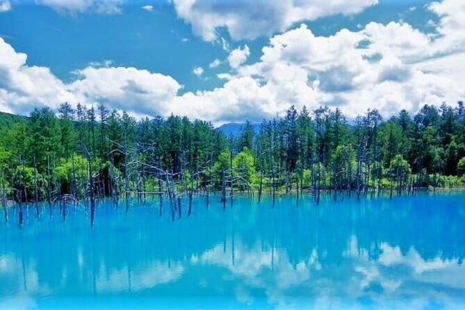 Hokkaido Day Trip From Sapporo: Asahiyama Zoo to Ningle Terrace - FAQs