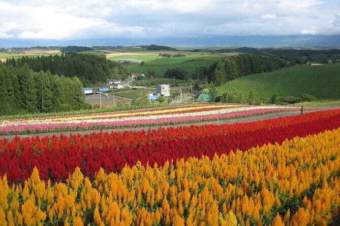 Hokkaido Hakodate Cherry Blossom 2D1N Bus tour from Sapporo - FAQs