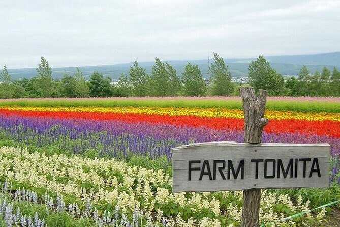 Hokkaido Highlights of Flower Blossom, Asahiyama Zoo& Blue pondAoi-ike! - The Full Breakdown of the Tour Experience