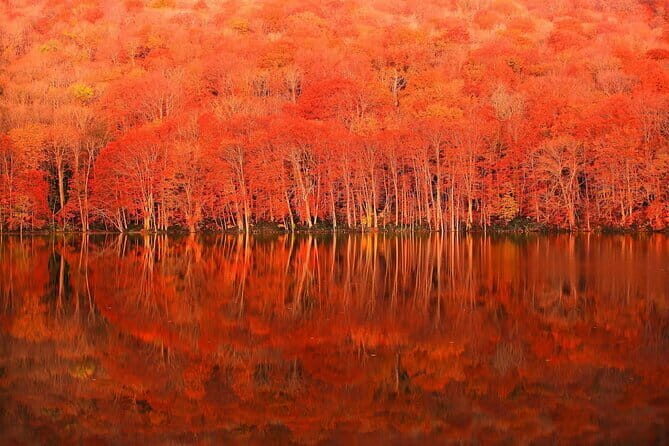 Hokkaido Jozankei Hoheikyo Dam Autumn Leaves Day Trip - Who Would Love This Tour?