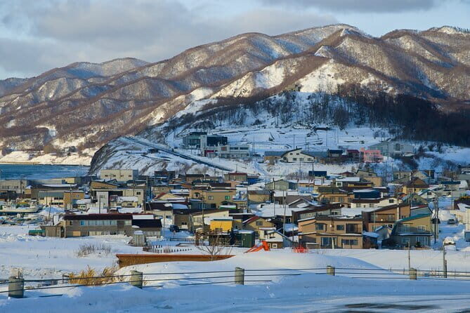 Hokkaido Niseko Ski Day TourDepart from Sapporo - Discovering Niseko’s Spectacular Snow and Natural Beauty