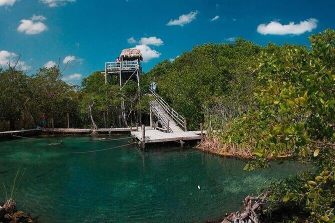 Holbox adventure and Pasion Island Cenote - Why This Tour Offers Good Value