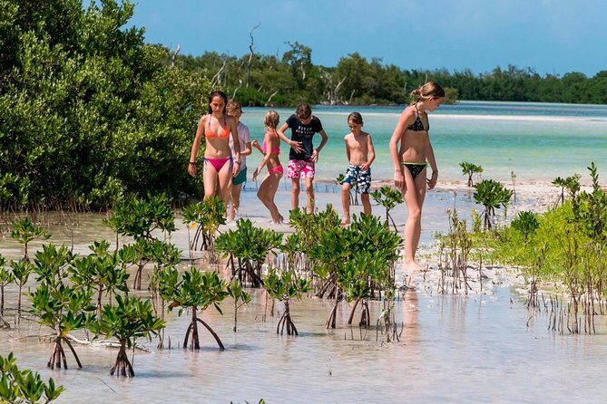 Holbox and Passion Island Full-Day Tour with Cenote, Transportation and Lunch - An In-Depth Look at the Tour Experience