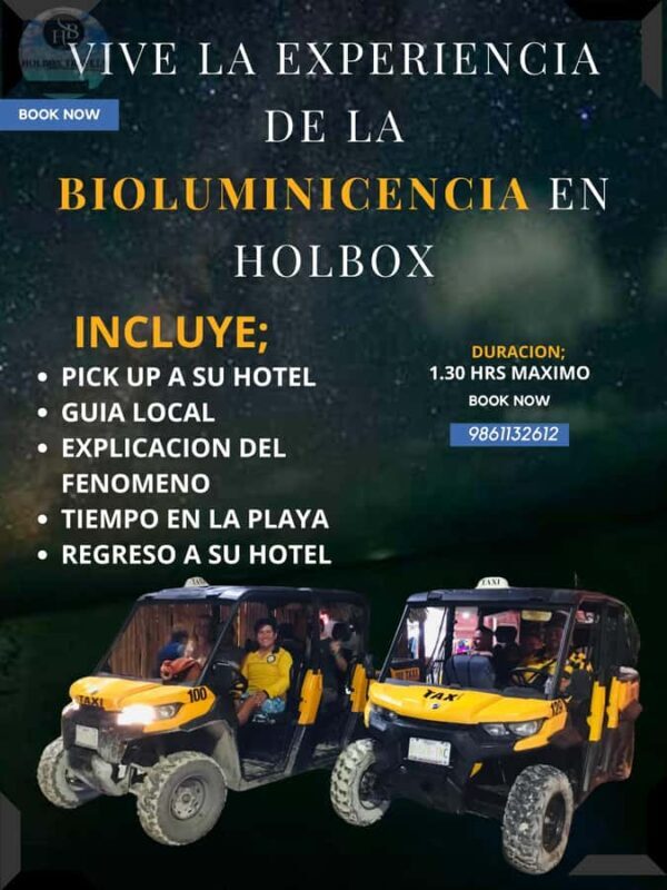Holbox: Bioluminescence Tour in Canam - Key Points