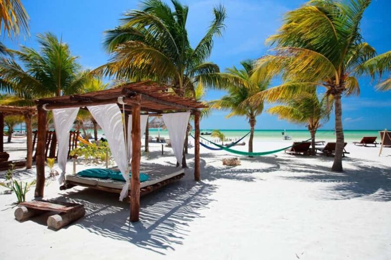Holbox : boat tour, golfcart, beach club, pick up available - The Sum Up: Is This Tour Right for You?