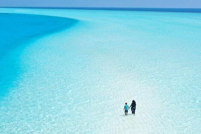 Holbox, Cenote & Two Island! + Punta Mosquito from Cancun - Key Points