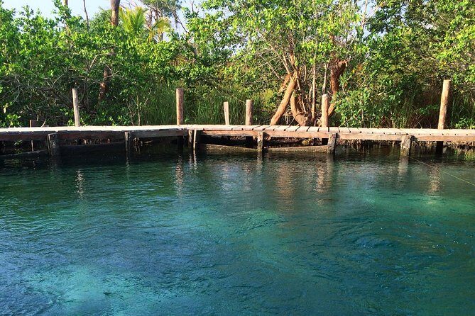 Holbox, Cenote & Two Island! + Punta Mosquito from Cancun - The Sum Up