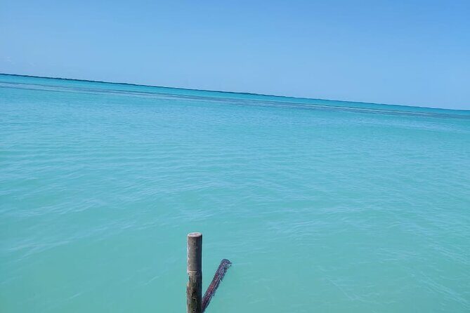 Holbox Exclusive Full Day Tour - FAQ