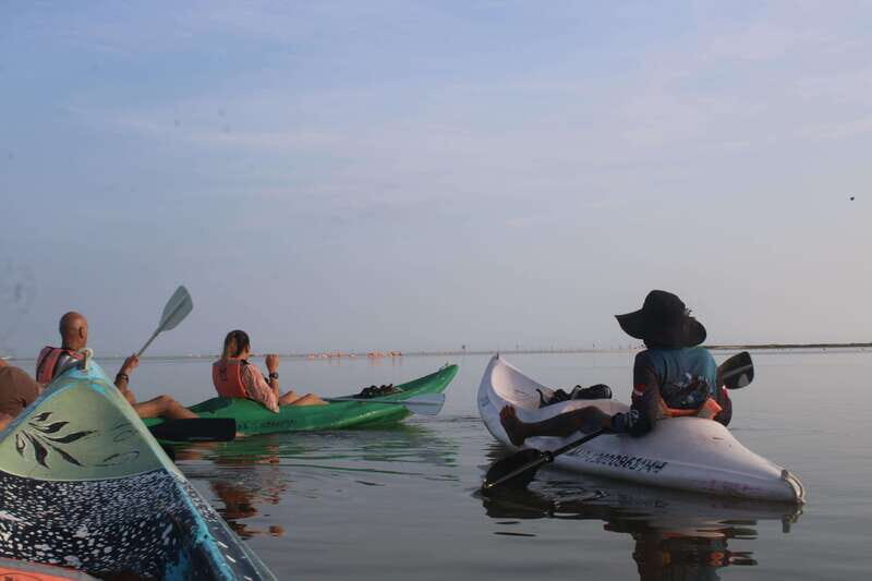 Holbox: Guided Sunrise/Sunset Kayak Tour by Mangrove Reserve - An In-Depth Look at the Tour