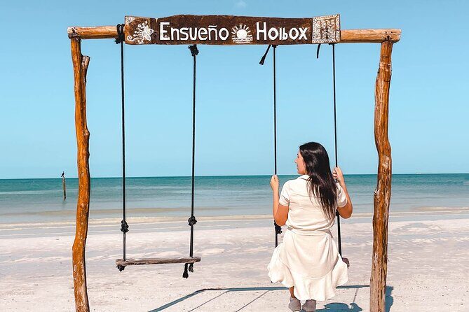 Holbox Island and Cenote Full Day Tour - What to Expect from the Itinerary