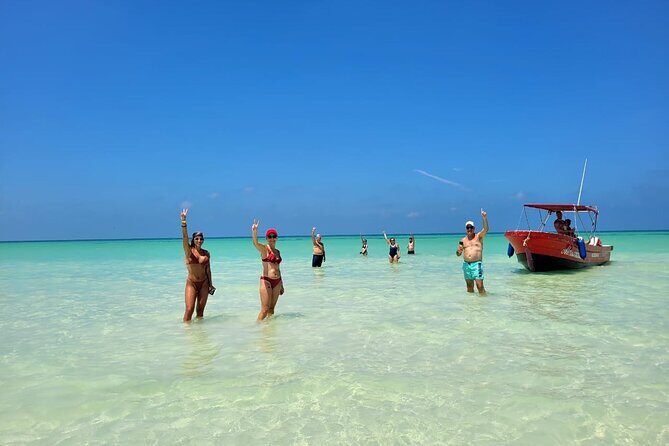 Holbox Island and Cenote Full Day Tour - The Sum Up: Who Should Consider This Tour?