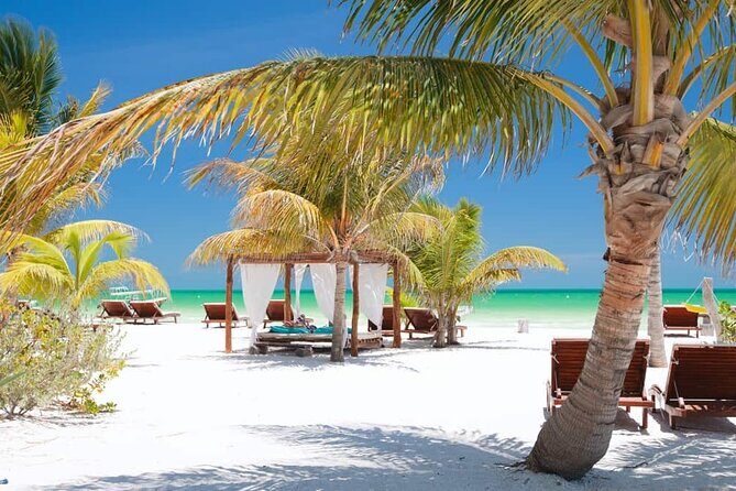 Holbox Island and Pasión Island Tour with Lunch and Pickup - The Day in the Life: What to Expect on the Tour