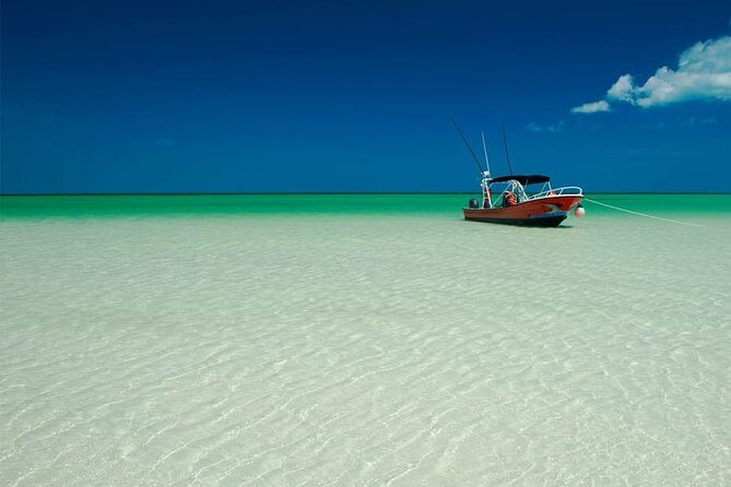 Holbox Island Full Day Trip with Lunch From Playa del Carmen - What Do Real Travelers Say?
