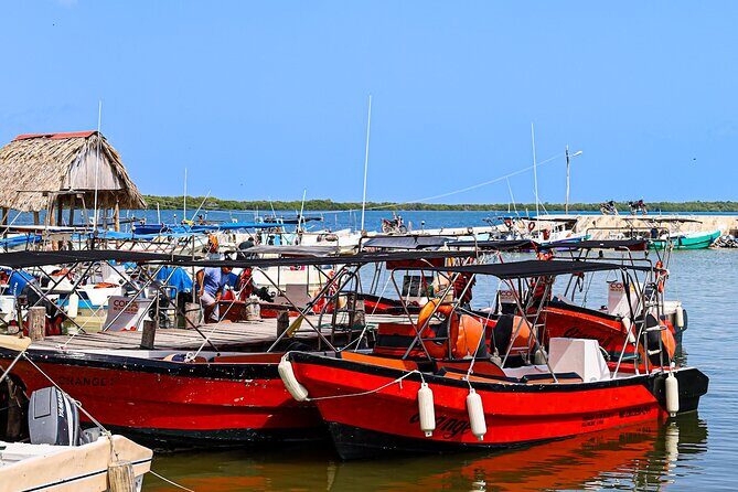 Holbox Island Tour From Cancun with PickUp - Beachside Picnic and Refreshments