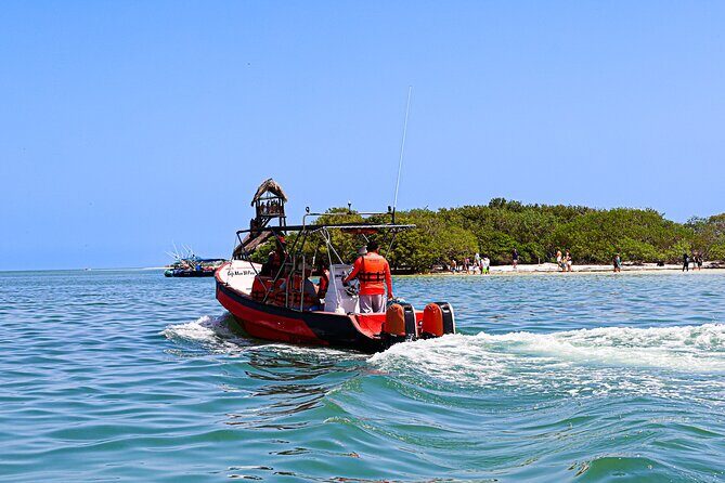 Holbox Island Tour From Cancun with PickUp - Practical Tips