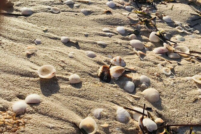 Holbox: Islas Pajaros, Yalahau & Isla de la Pasión with pick up - What’s Included and What to Expect